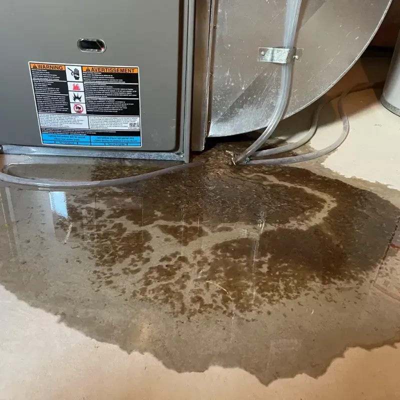 Appliance Leak Cleanup in Hancock County, KY